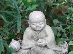 -杭州少年儿童公园