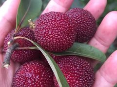 -太湖好灶头土菜馆(石公路店)