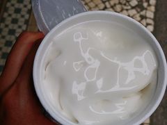 -洪馨椰子