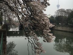 -成都市活水公园