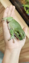 -Moni星球萌宠·小马宝莉·灵蛇·高端高阶全萌宠互动体验俱乐部(红豆国际广场店)