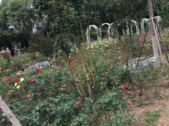 -太原动物园