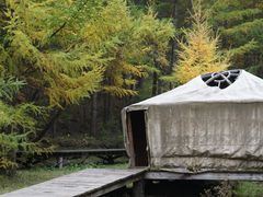 -苏木山森林公园