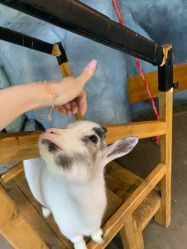 -Zoolung Zoolung动物主题公园(海信广场店)