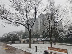 -唐城墙遗址公园