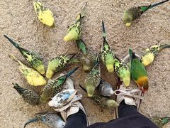 -珠海海泉湾神秘岛亲子乐园