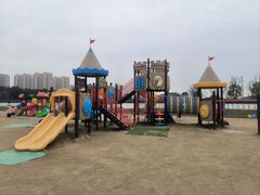 -菊园百果园