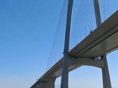 -招商蛇口邮轮母港(观光客运)