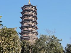 -葛仙湖公园