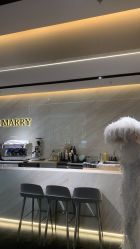 -MuseMarry婚纱(前海嘉里中心店)