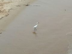 -演武大桥观景平台