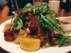 德国猪肘-百好乐宠物友好餐厅(朝外大街店)