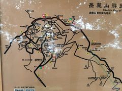 -茶颜悦色(岳麓山顶店)