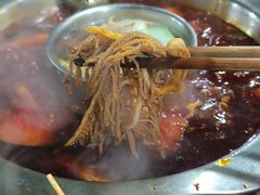 -星鸿社重庆老火锅