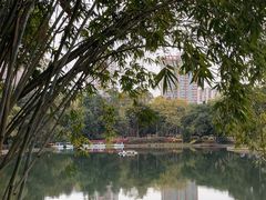 -晓港公园