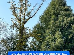 -阳澄湖费尔蒙酒店
