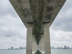 -中澳友谊花园