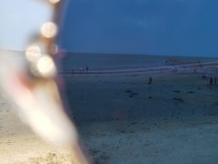 -北海金海湾红树林生态旅游区