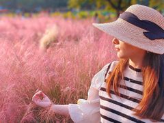 -艾溪湖湿地公园