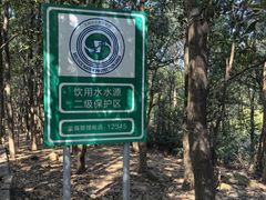 -东莞市大岭山森林公园