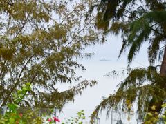 -巽寮印象美食部落餐厅·海鲜·地方特色菜(惠州体验店)