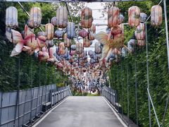 -洋湖国家湿地公园