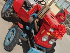 -王婆炒鱼(总店)