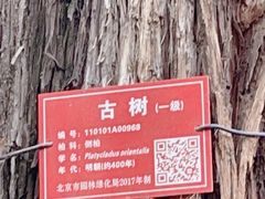 -北京市劳动人民文化宫(太庙)