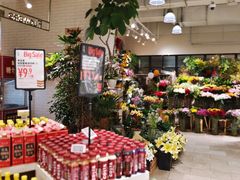 -T11生鲜超市(朝阳公园店)