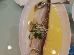 清蒸白鱼-苏苑饭店-中餐厅(长桥地区店)