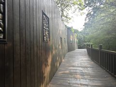 -五泄景区