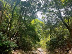 -梧桐山风景名胜区