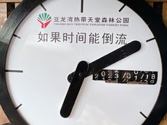 -亚龙湾热带天堂森林公园