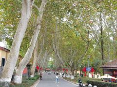 -T80科技文化国际社区-停车场