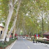 幽僻文艺的一个景点！ღ🇨🇳ღ•̥̑ .̮ •̥̑).:*