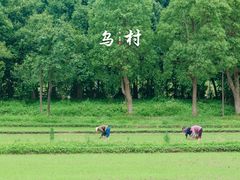 -乌村
