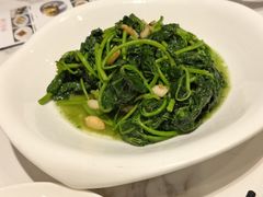 -欢乐海岸美食联盟