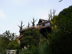 -杭州开元森泊度假乐园