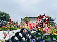 -荆川公园