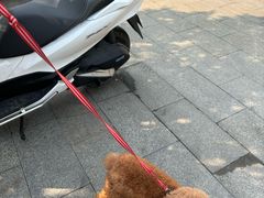 -江龙饭店·乌江豆腐鱼(乌江老桥头店)