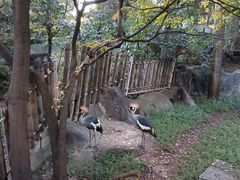 -昆明动物园