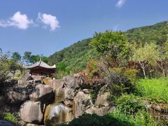 -朝阳沟