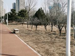 -绿堤公园