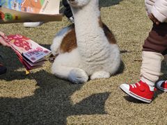 -宁波野生动物园