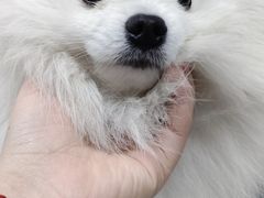 -联合动物医院(光谷诊疗中心)
