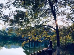 -白马涧龙池景区