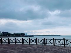 -万绿园