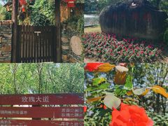 -鹅湖玫瑰文化园