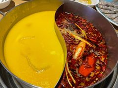 -青瓷火锅料理(西单大悦城店)