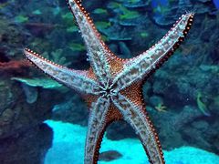 -成都浩海立方海洋公园